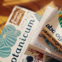 Outgrow Forms and Surveys: Supercharge Your Data Collection